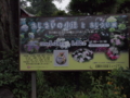 f:id:baikamo77:20140618134002j:image:medium