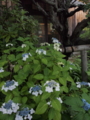 f:id:baikamo77:20140618134221j:image:medium