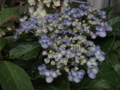 f:id:baikamo77:20140618135141j:image:medium