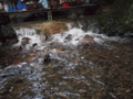 f:id:baikamo77:20140727125408j:image:medium
