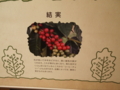 f:id:baikamo77:20140924125300j:image:medium