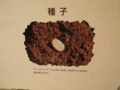 f:id:baikamo77:20140924125310j:image:medium