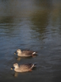f:id:baikamo77:20141205150821j:image:medium