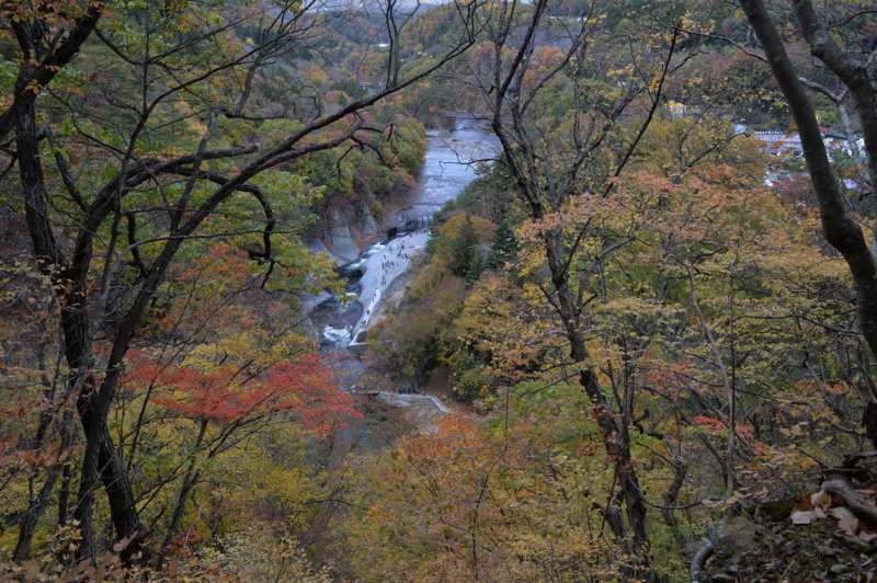 f:id:baikamo77:20151103134213j:image:w360