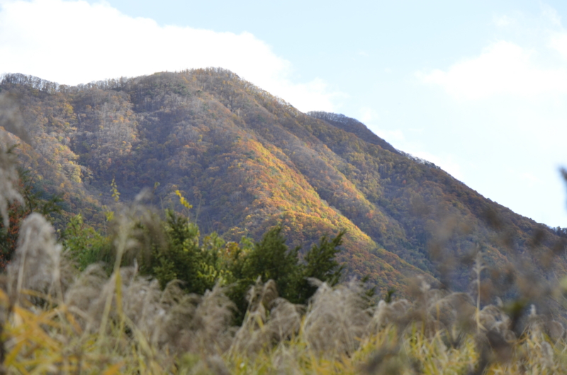 f:id:baikamo77:20151103140556j:image:w360