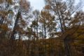 f:id:baikamo77:20151103144057j:image:medium