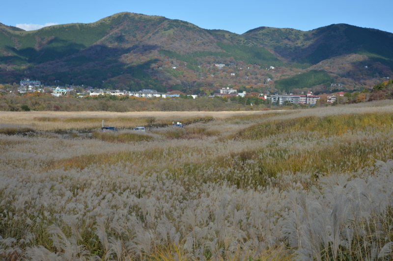 f:id:baikamo77:20161112130708j:image:w360 f:id:baikamo77:20161112130708j:image:w360