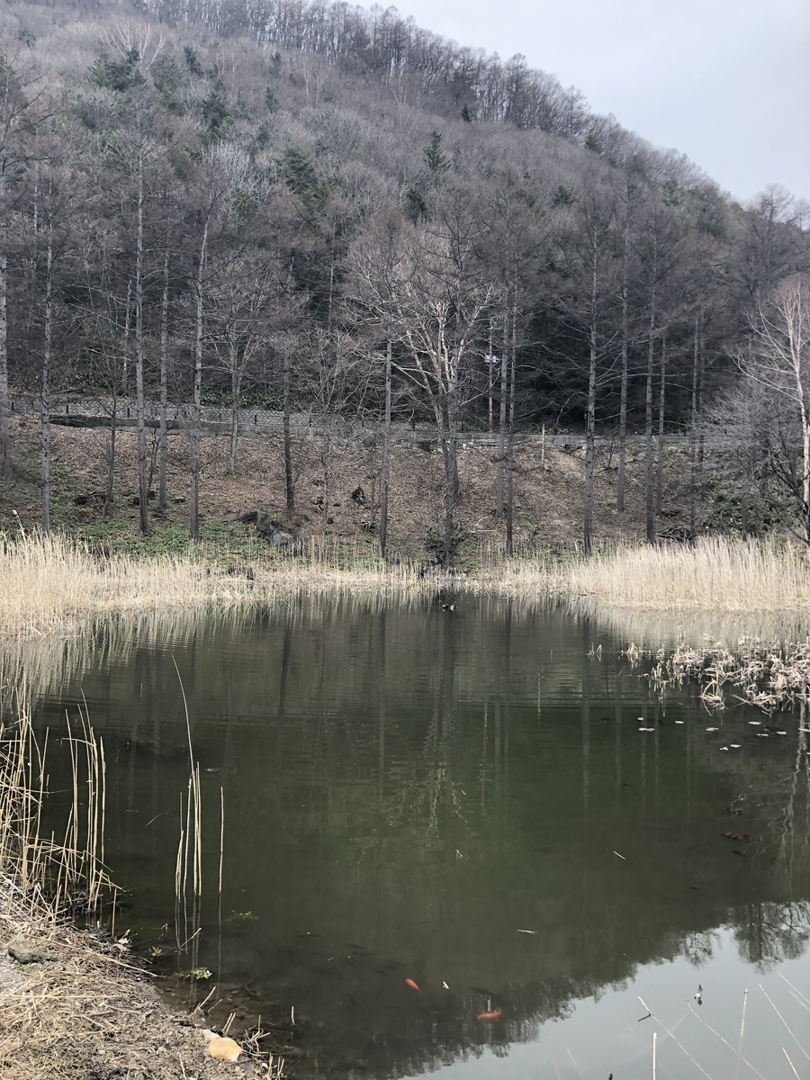 f:id:baikamo77:20190421174427j:plain