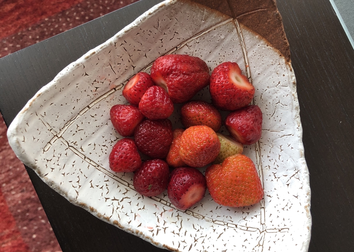 f:id:baikamo77:20190512131242j:plain