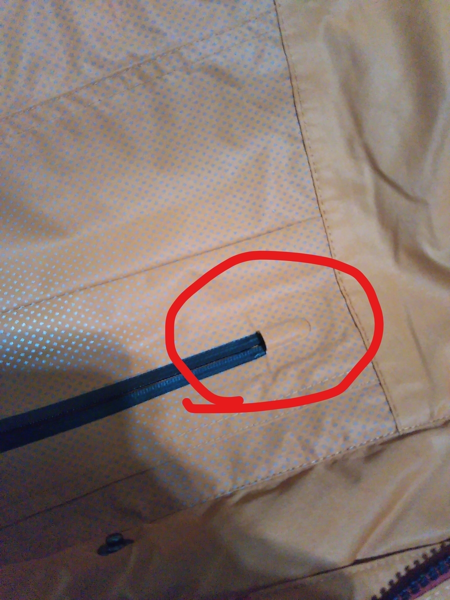 f:id:baikuyadaisuke1:20191202123145j:plain