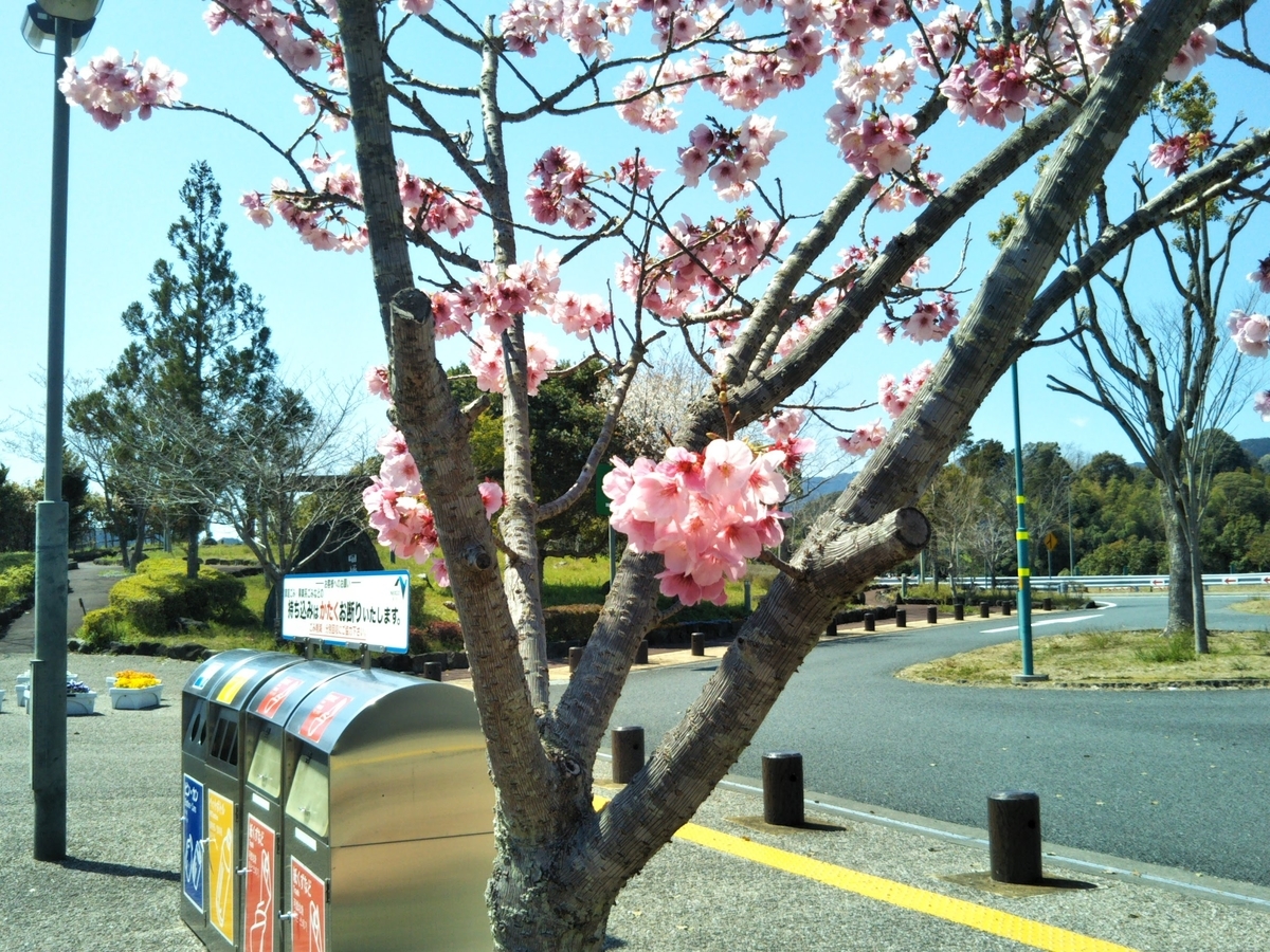 f:id:baikuyadaisuke1:20200325143905j:plain