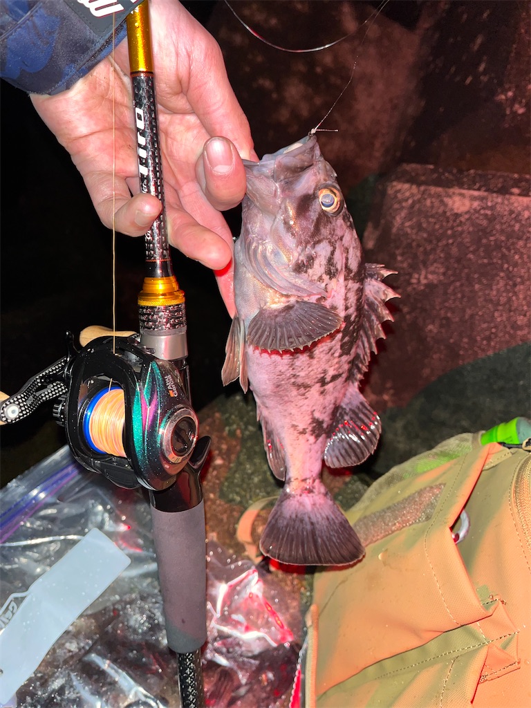 f:id:baitcasting_sensation:20240427100009j:image