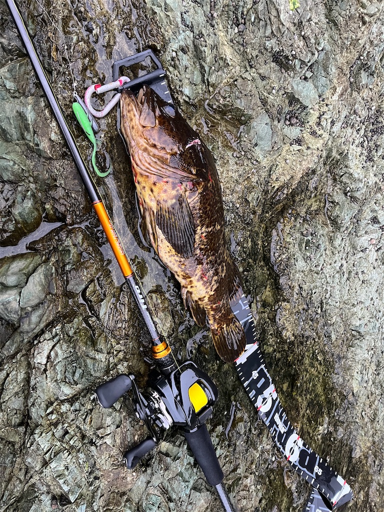 f:id:baitcasting_sensation:20240427100926j:image