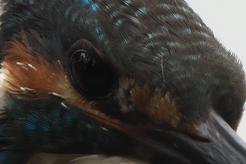 f:id:bajabaja:20191030203747j:plain