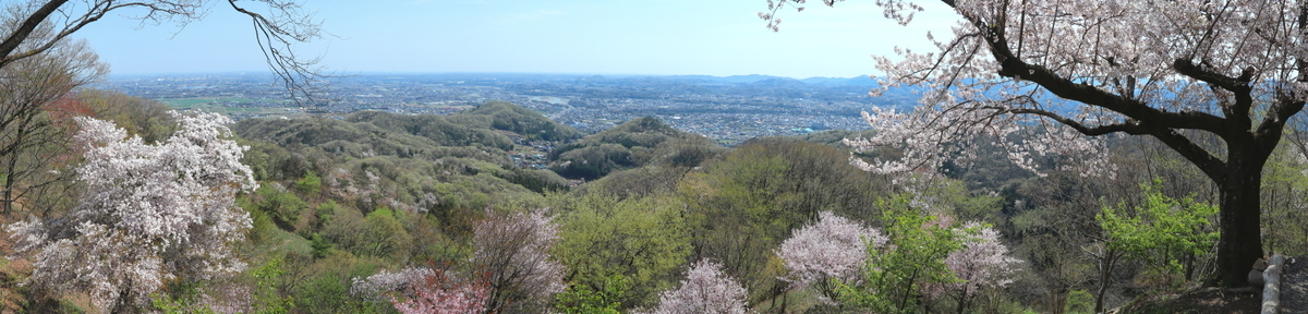ショートコースながら眺めは良好