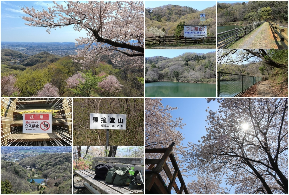 まとめ写真