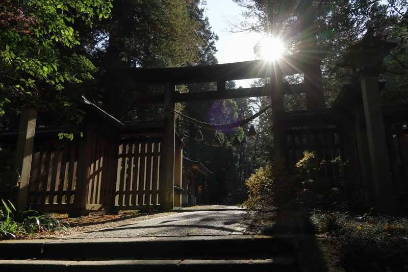 神社内を散歩するのも良いと思います