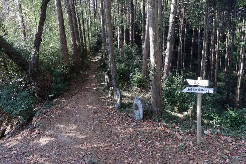 分岐まで戻って直進