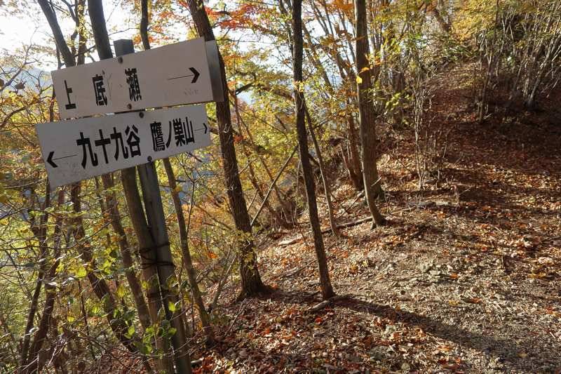 右折して鷹ノ巣山を目指します