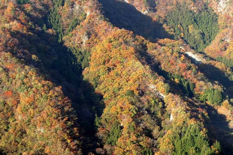 ここから景色が良くなってきます
