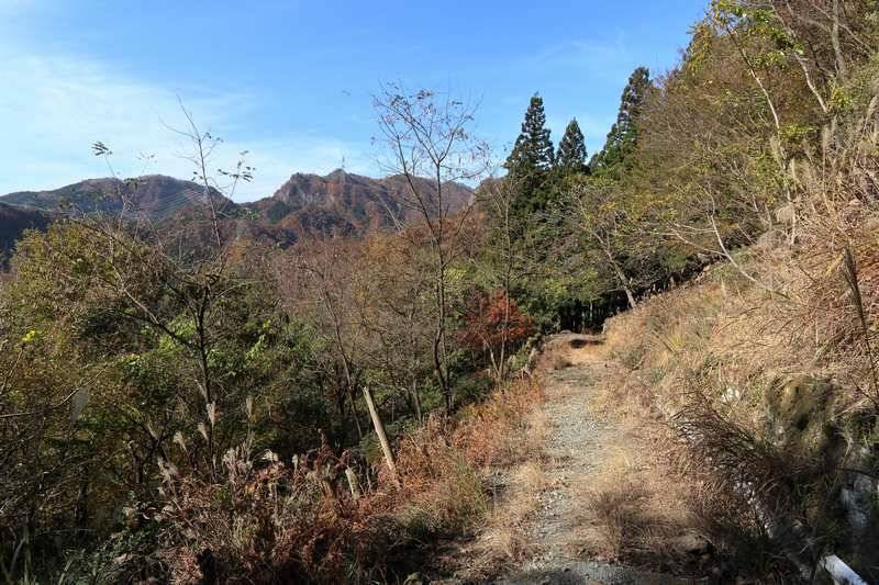 峠に入ってからは歩道を道なりに