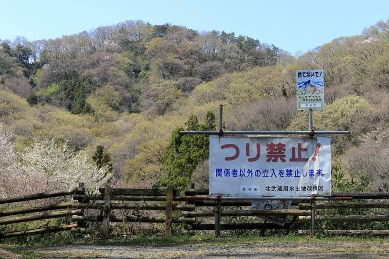 谷津池を横目に右折し、北コースを登ります。
