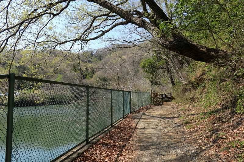 新緑シーズンには少し早かったかな。