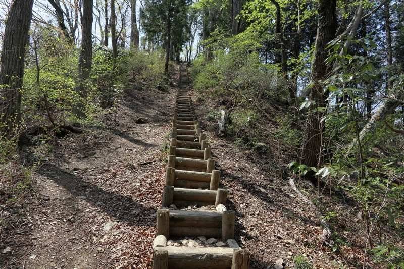 急登や階段には巻き道もあり、自分に合わせたコースで歩けます。
