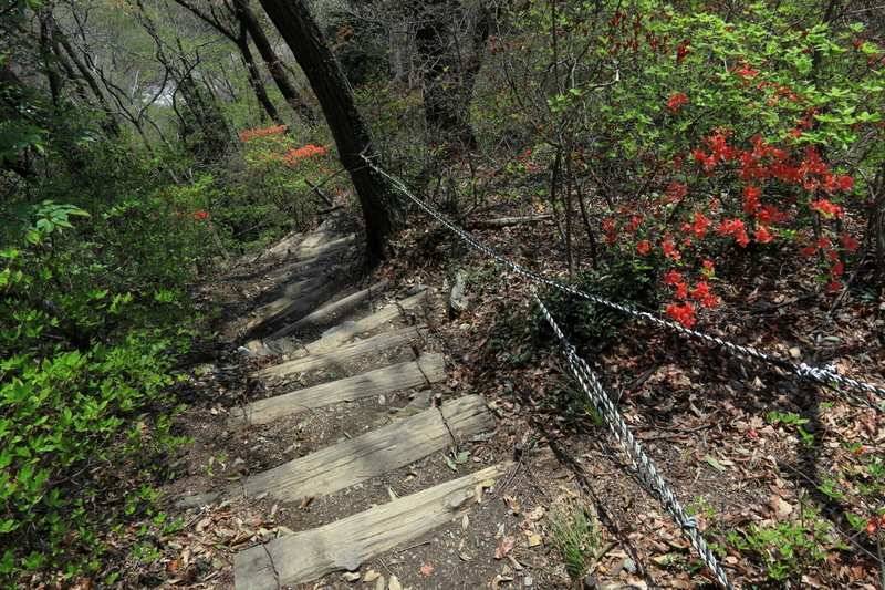 南コースで下山。急坂が続くので慎重に。道中にベンチあり。