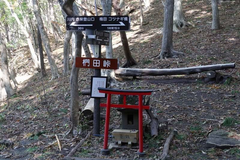 分岐へ。左折して下山していきます。(空きスペースにもなっています)