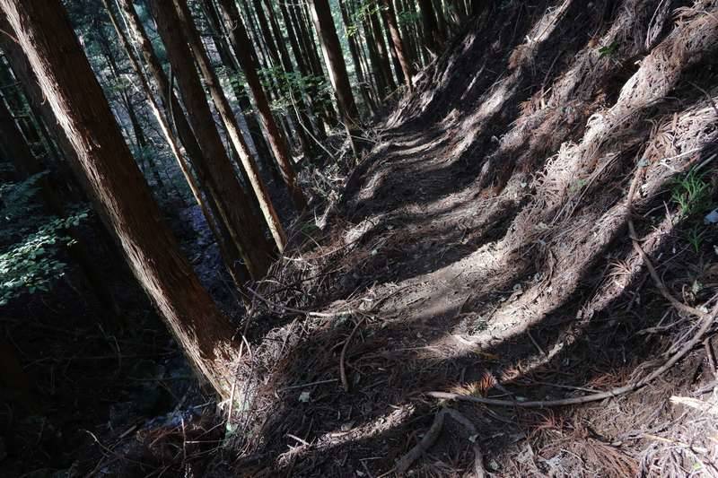 沢沿いを歩いていきます。