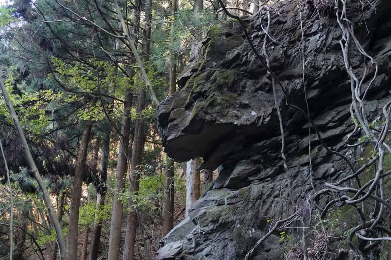 岩を横目に進むが自分はココでルートミスし藪漕ぎをするはめに(笑)。
