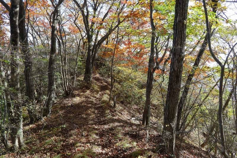 あとは登山口目指してホイサッサと下って行きます。