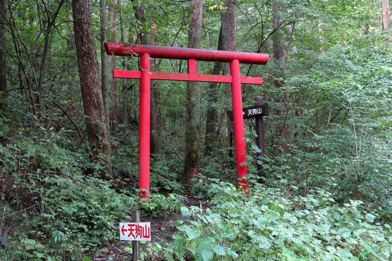 舗装路を歩き続けると鳥居へ。ここから山道になります。