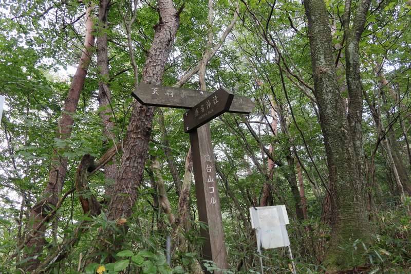 鏡台山コル(分岐)へ。右折し鏡台山を目指します。