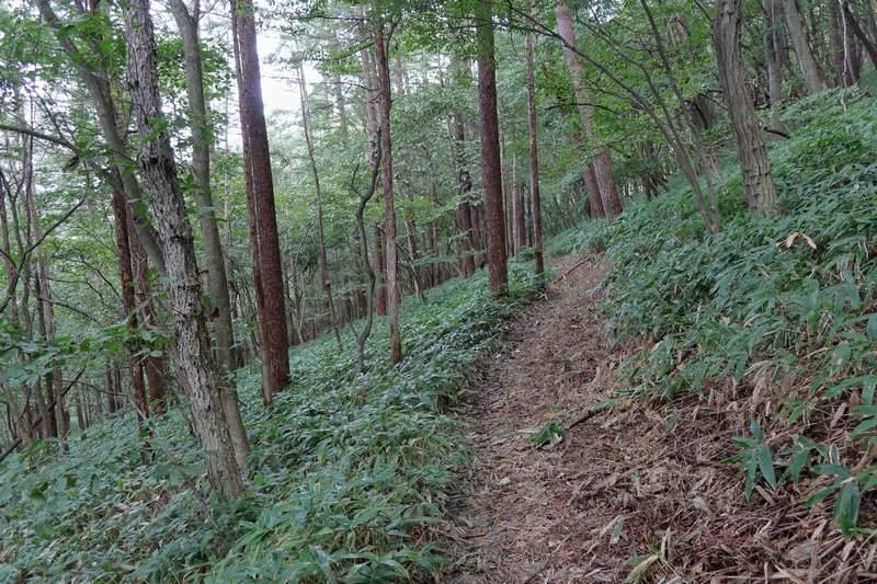来た道を戻り天狗山を目指します。