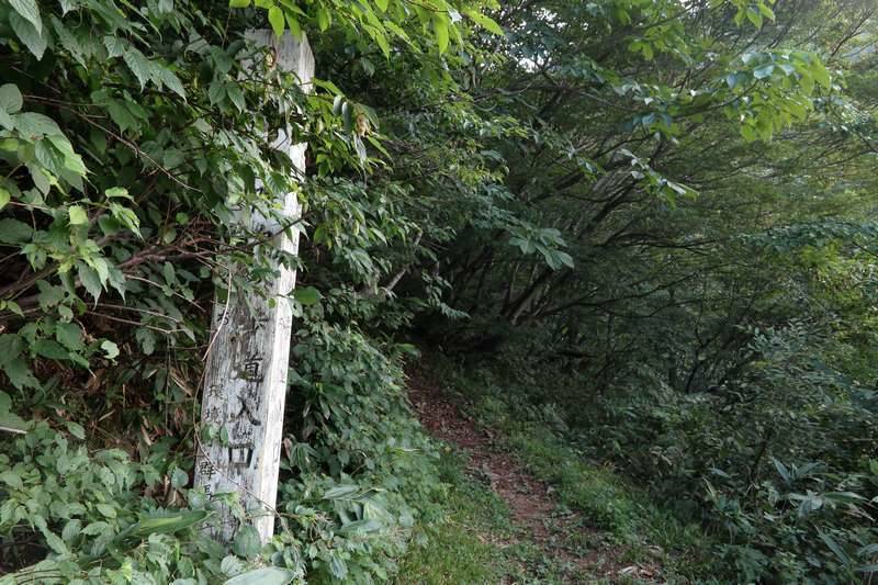 辛うじて判る登山口。