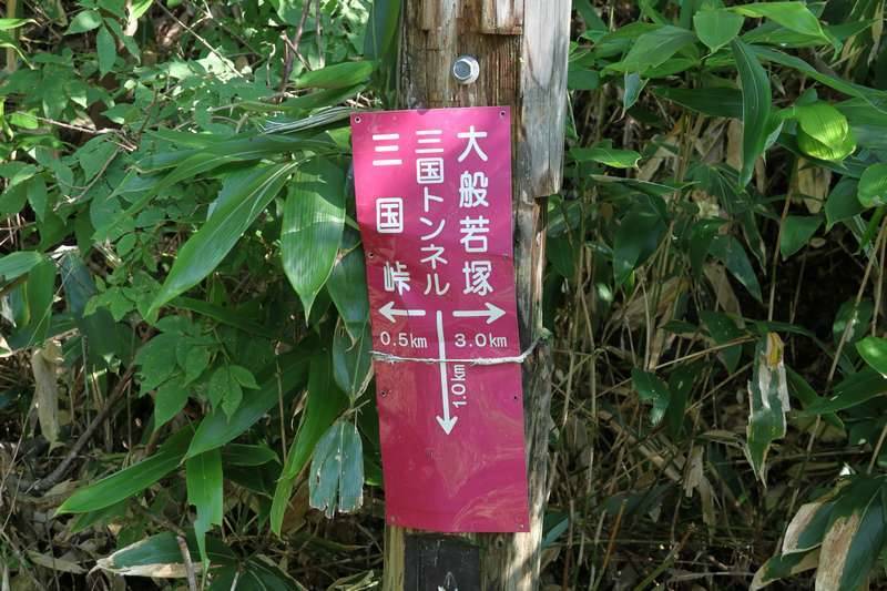 三国峠下分岐を左折します。