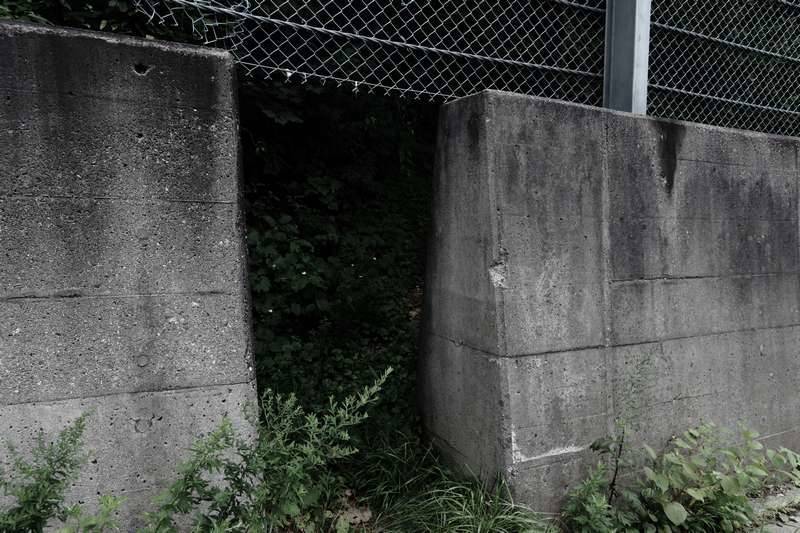 判り辛い登山口だなぁ…と思いつつ無事ゲッザーーン。お疲れ山。
