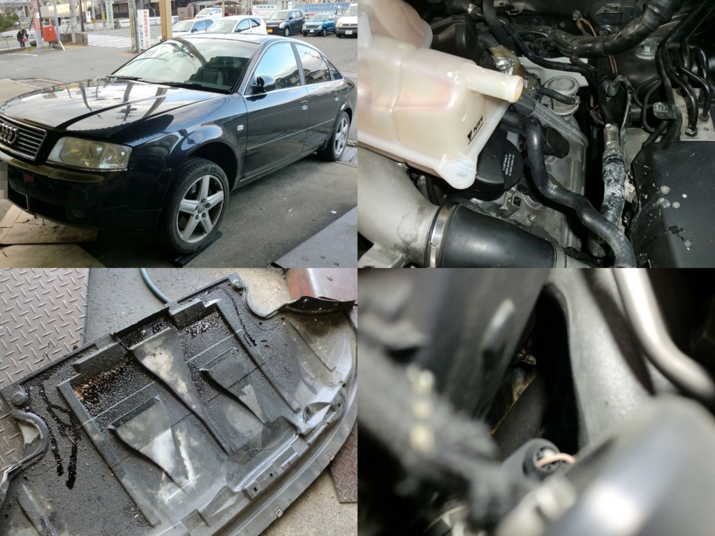 f:id:bakabakakyoujyu:20170131190037j:plain