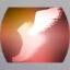 f:id:bakadoji:20091204090331j:image