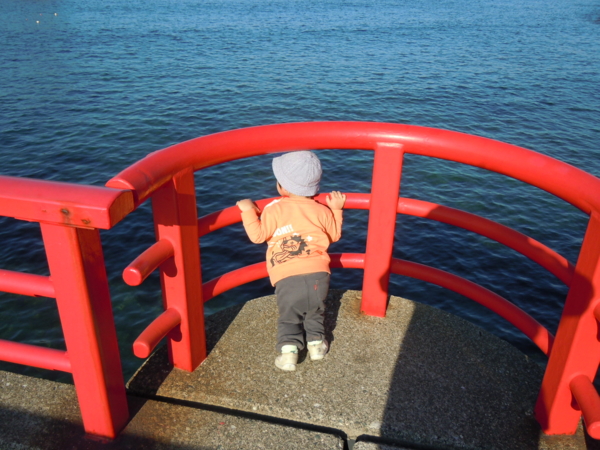 f:id:bakafutomon:20101107141546j:image