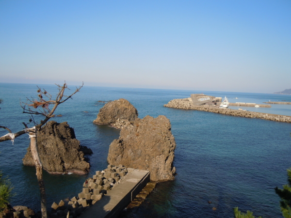 f:id:bakafutomon:20101107142200j:image