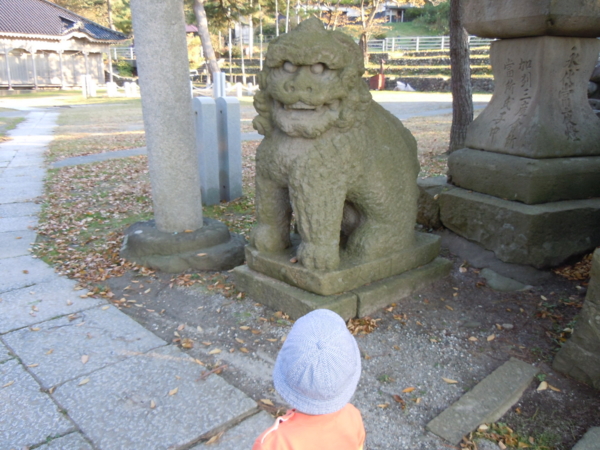 f:id:bakafutomon:20101107152716j:image