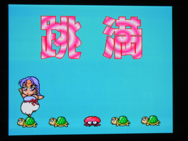 f:id:bakafutomon:20110107193615j:image