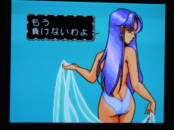 f:id:bakafutomon:20110107195554j:image