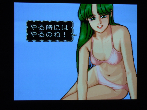 f:id:bakafutomon:20110107200613j:image