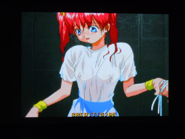 f:id:bakafutomon:20110110214152j:image