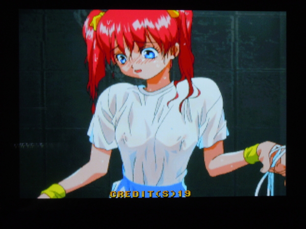 f:id:bakafutomon:20110111204405j:image