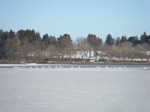 f:id:bakafutomon:20110221083952j:image